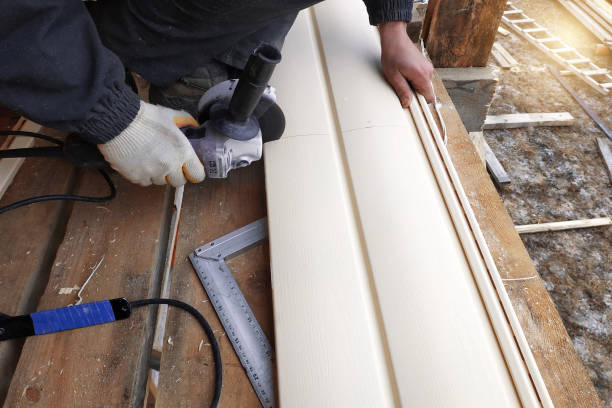 Best Siding Painting and Refinishing  in Hampton, IA