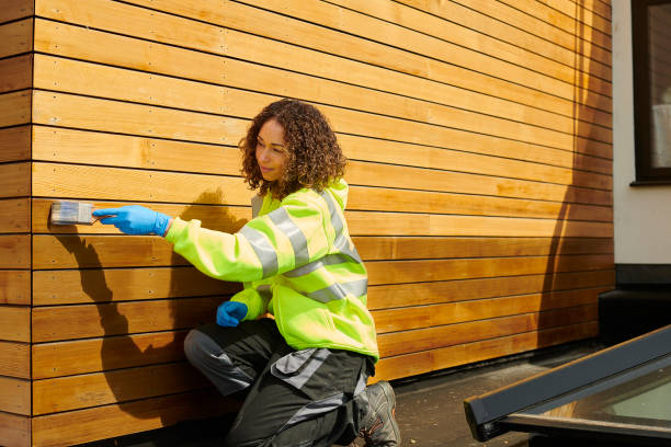 Best Siding Maintenance  in Hampton, IA
