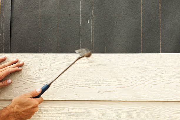 Best Custom Siding Design  in Hampton, IA